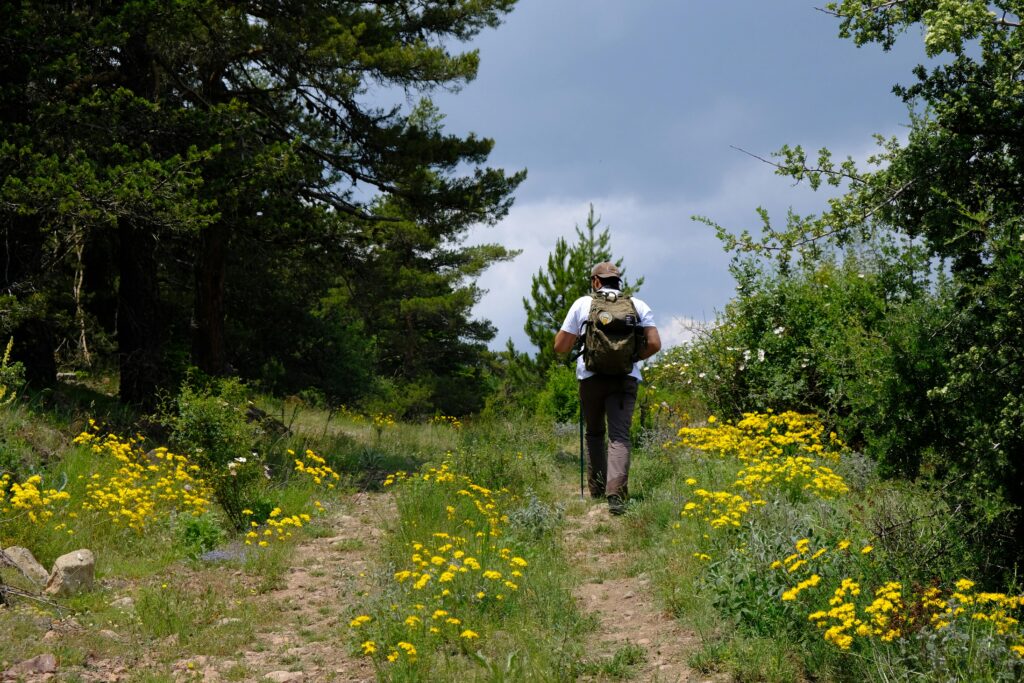 Daily walk is good for health